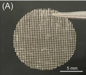 Circular scaffold for cultured meat