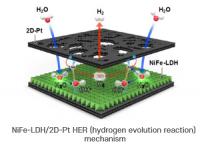 NiFe-LDH/2D-Pt HER