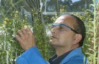 Dr. Surinder Singh, CSIRO Australia