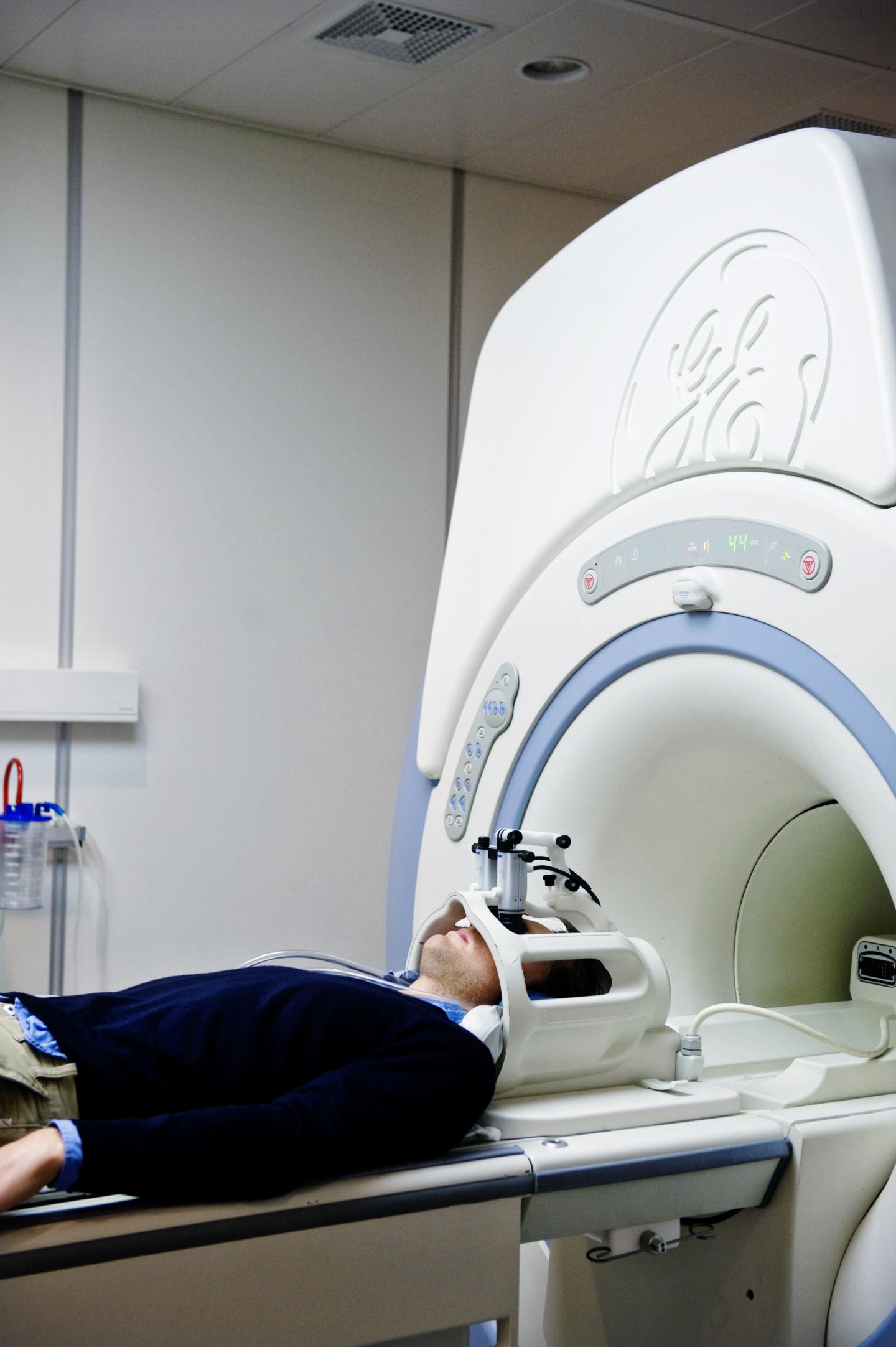 In the Scanner