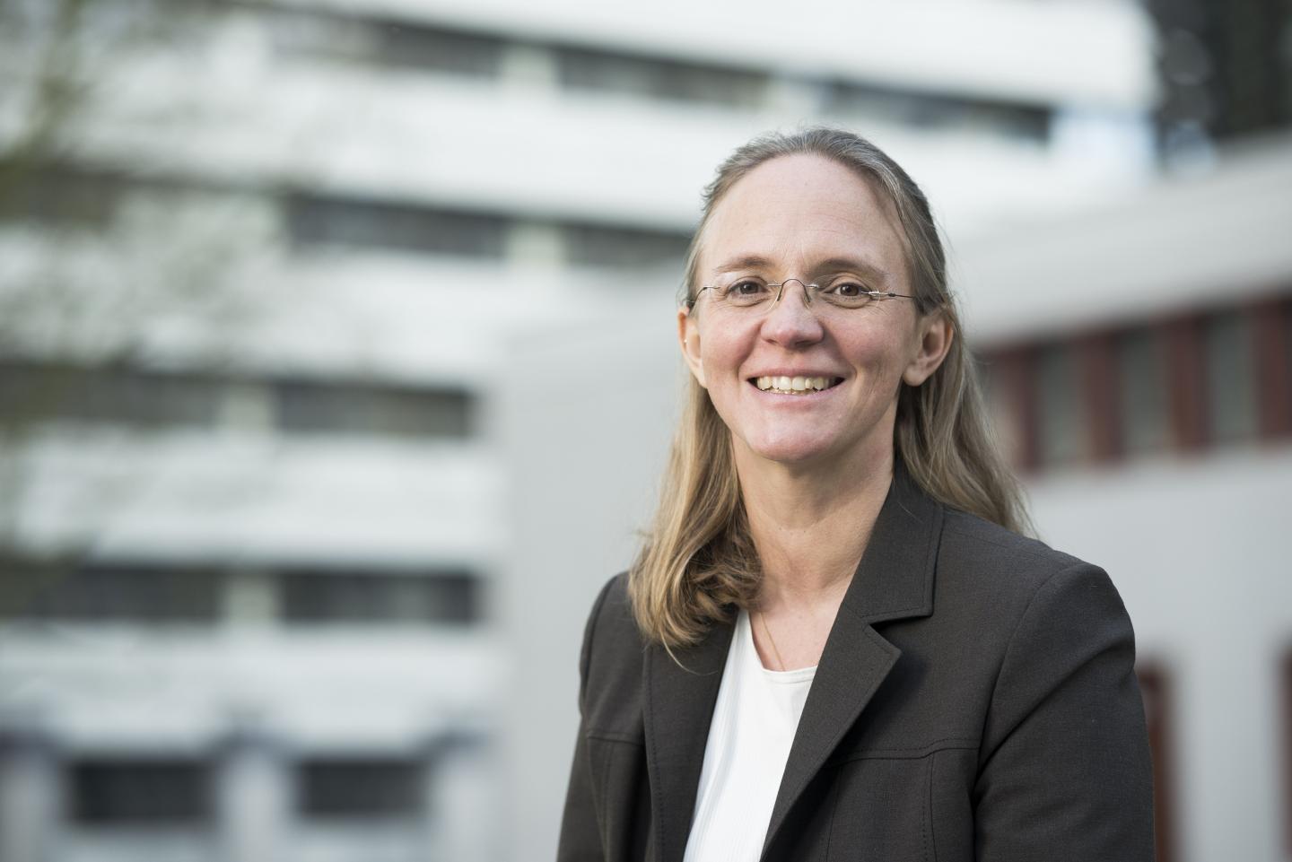 Britta Nestler, Karlsruher Institut für Technologie