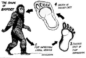 Bigfoot illustration 3