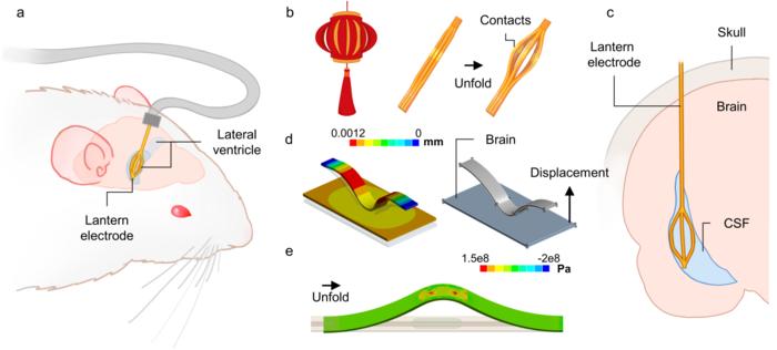 Lantern-Inspired Expandable Electrode for Recording Brain Signals from the Lateral Ventricle