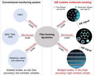 AIE Strategy Succeeds in Bridging the Scale Gap for Dynamic Monitoring