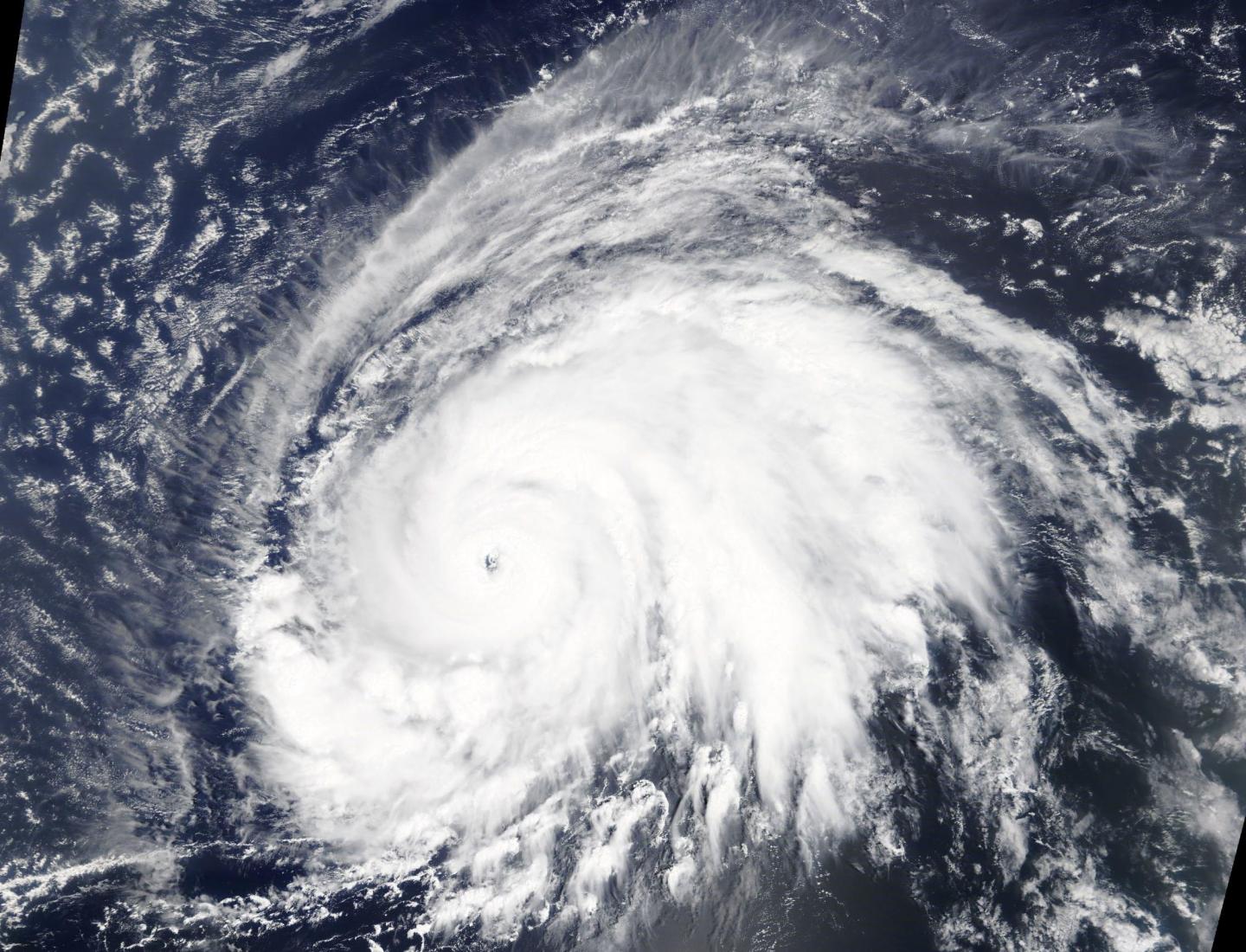 Terra Image of Lorenzo