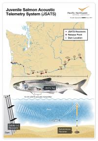 Juvenile Salmon Acoustic Telemetry System