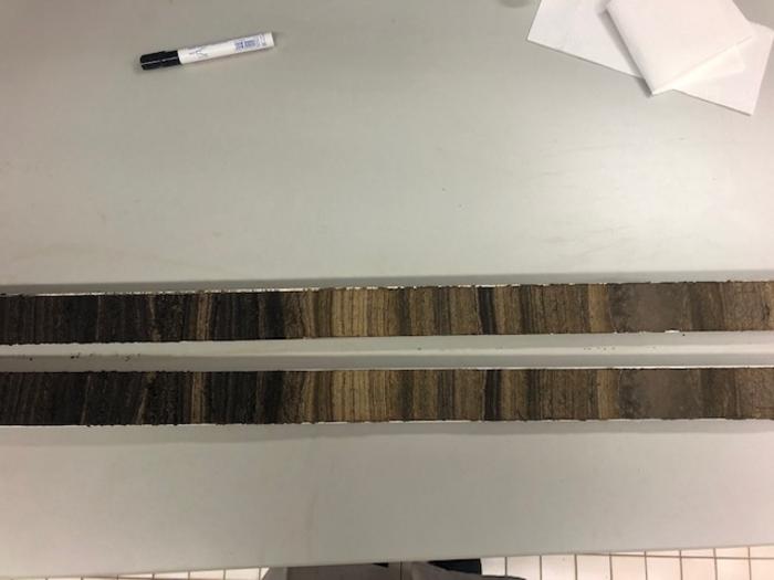Sediment core