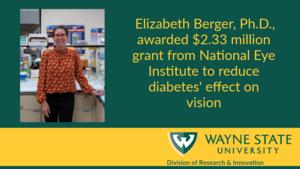 Wayne State University researchers awarded $2.33M NEI grant to develop novel approaches to improve eyesight ane eye health in diabetics