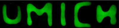 Sketching Experiments on a Canvas of Live Cells