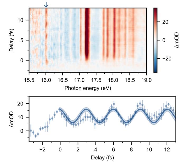 Observation of hole motion in Xe⁺ ions