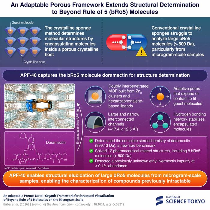 APF-40: an adaptable porous framework for molecular structure determination