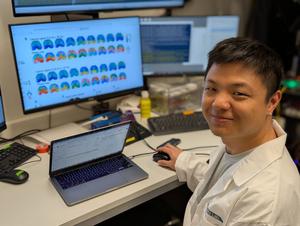 Examining rotating brain wave images