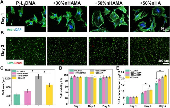 Propelling Biomaterial Innovations for Advanced Cell Therapy