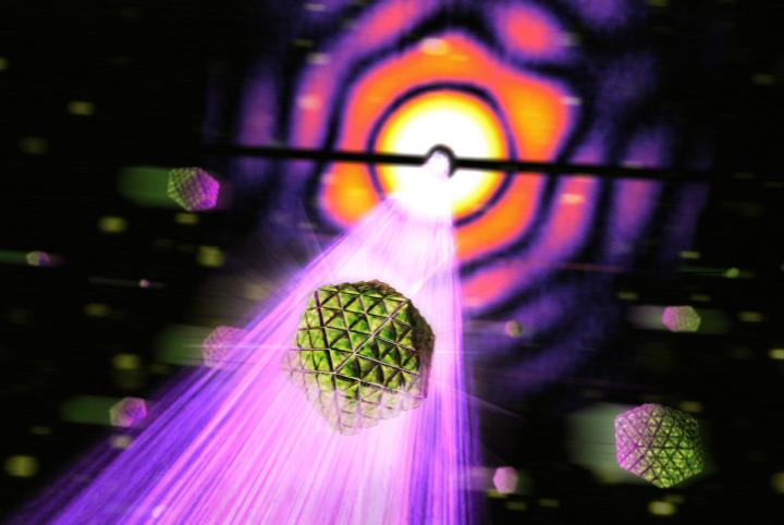 Carboxysome Artwork