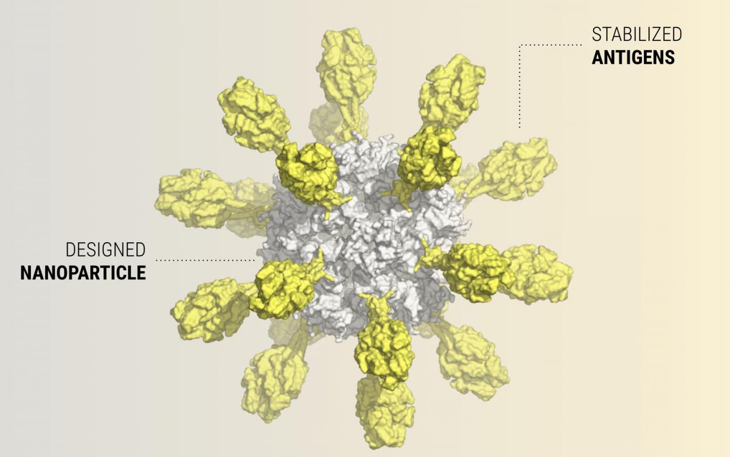 Computer-Generated Nanoparticle Vaccine