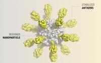 Computer-Generated Nanoparticle Vaccine