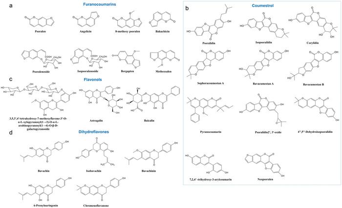 Structures of important compounds isolated from PCL
