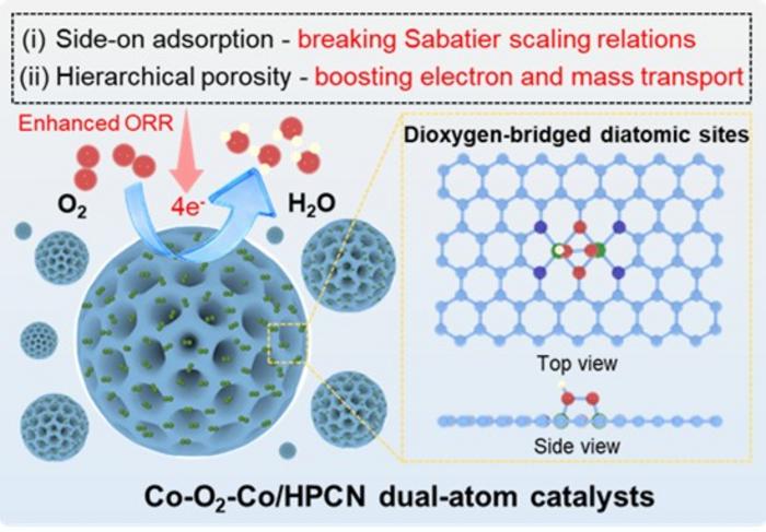 Hierarchically porous nanoarchitectures confined dioxygen-bridged cobalt diatomic sites for efficient oxygen reduction electrocatalysis
