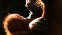 Mother and Child
