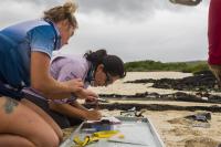 Researchers are training tourism guides to catalogue wildlife