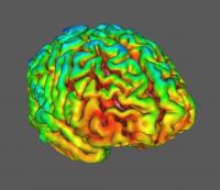 Healthy Control - from Synaptic Marker Protein SV2A Is Reduced in Schizophrenia