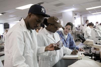 Minorities in a Lab