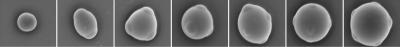 Micrograph of Assembled Particles in Various Combinations