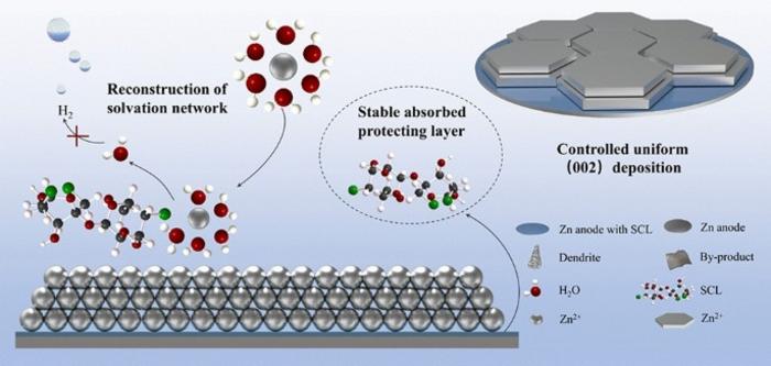 Exposing Zn(002) Texture with Sucralose Additive for Stable and Dendrite‑Free Aqueous Zinc‑Ion Batteries