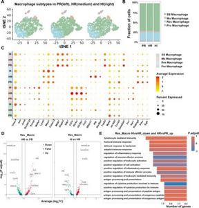 Resident macrophages exert critical effects on intense light attenuating cardiac inflammation