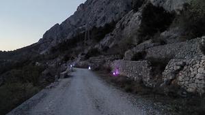 Light traps are set in Podgora, Croatia