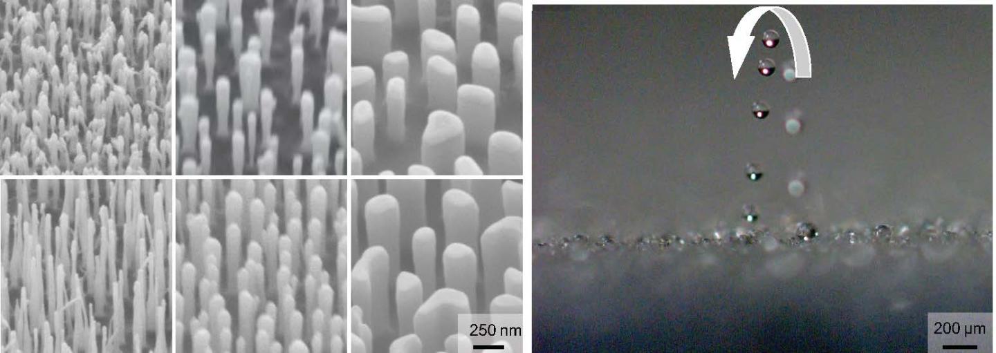 Nanopillars