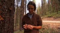 Dr. Susan Prichard, University of Washington (2 of 2)