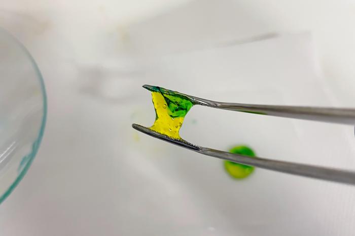 A Gallol-Modified Hyaluronic Acid Hydrogel