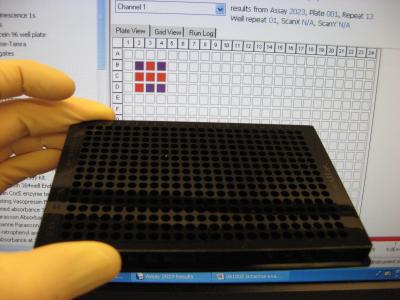 Prototype DNA computer -- MAYA-II