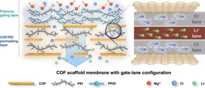 COF Scaffold Membrane with Gate‑Lane Nanostructure for Efficient Li+/Mg2+ Separation