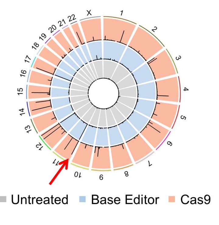 Comparison between DNA Scissors' Accuracy in the Entire Genome: Standard CRISPR-Cas9 Vs Base Editor