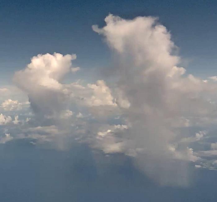 Tropical convective clouds with visible rain shafts