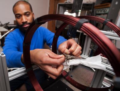 Neuroengineering Research