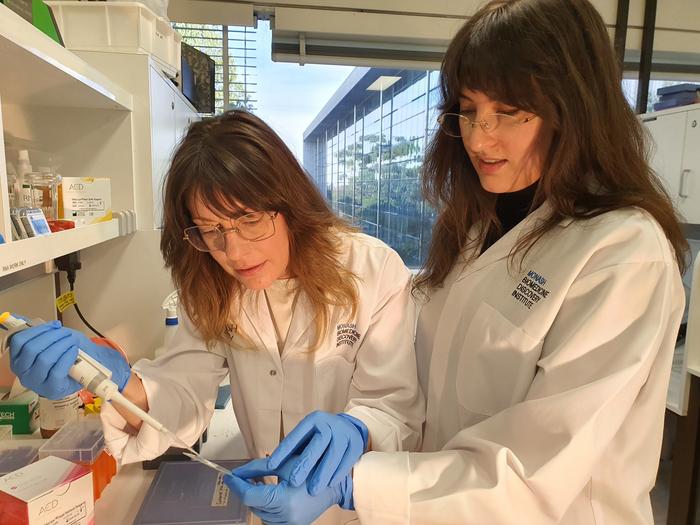 Claire Foldi in the lab