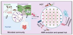 Antimicrobial resistance in complex microbiomes: ecological evolution and public health risks