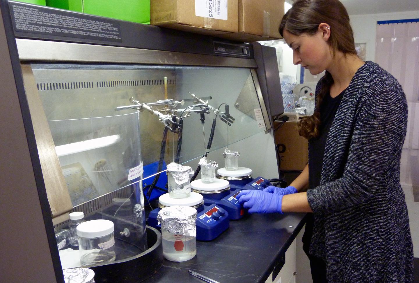 Stack Processing Mussels