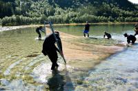 Norway Seining Team