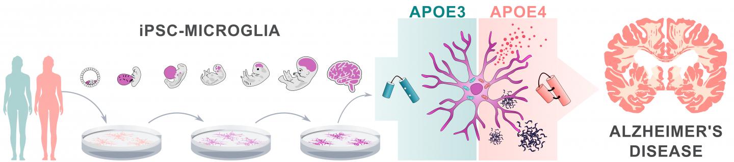 Visual Abstract