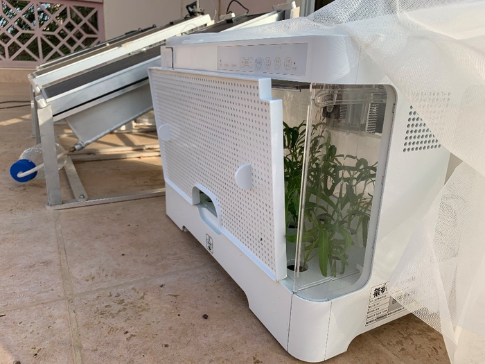Solar panels growing plants