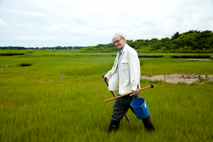 Ecosystems ecologist Ivan Valiela, Marine Biological Laboratory, Woods Hole
