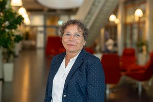 Yvonne Lundberg Giwercman, professor at Lund University