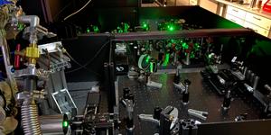 In the McIver Lab