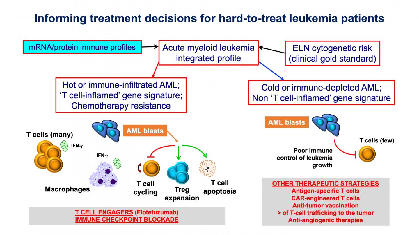 Leukemia Immune Profiles Predict Drug Resistance and Benefits of Immunotherapy (4 of 5)