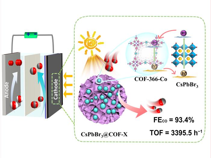 The mechanism of CsPbBr3 quantum dots promoting COF-366-Co for Photo-Coupled CO2 Electroreduction