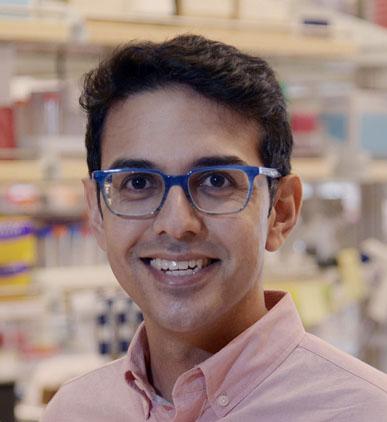 Neville Sanjana, New York Genome Center